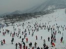 西嶺雪山、鶴鳴音樂小鎮(zhèn)、安仁古鎮(zhèn)二日游