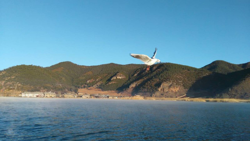 西昌瀘山邛海、知青博物館、摘草莓雙汽三日游